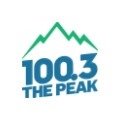 100.3 The Peak Logo