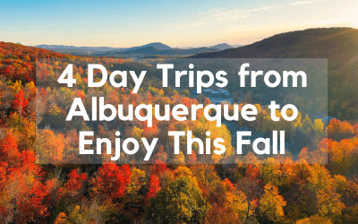 4 Day Trips from Albuquerque to Enjoy This Fall