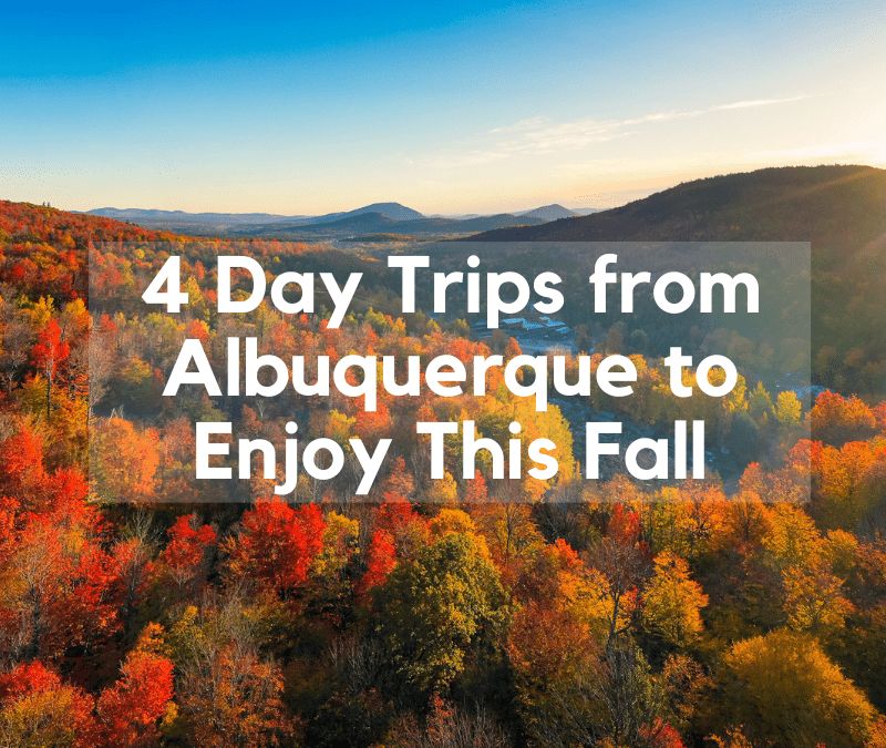 4 Day Trips from Albuquerque to Enjoy This Fall