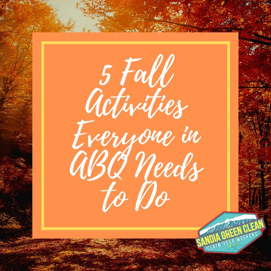 5 Fall Activities Everyone in ABQ Needs to Do