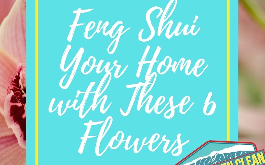 Feng Shui Says Your Home Needs These 6 Flowers: Here’s Why…